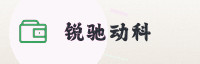 尊享伙伴