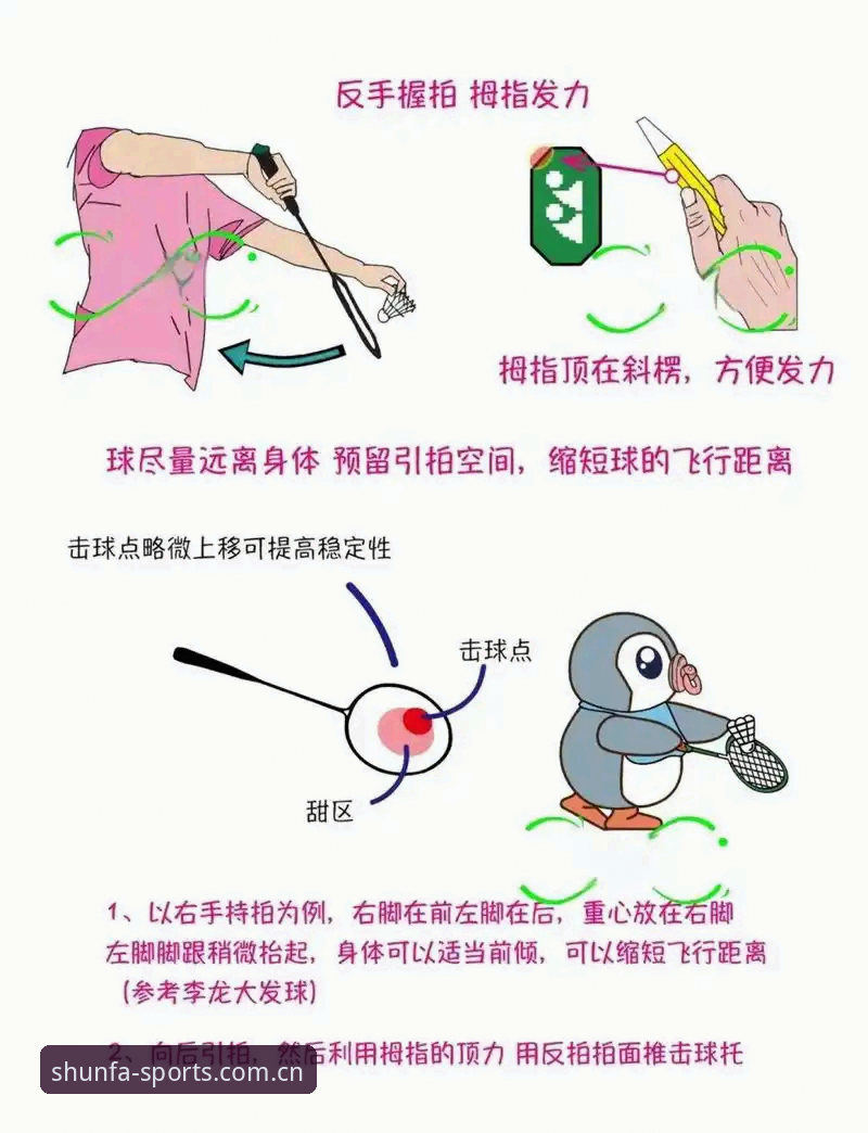 2026顺发体育教程：从零开始的完整使用指南